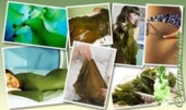 обертывания из водорослей